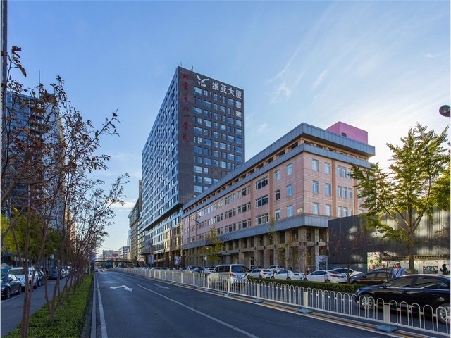 商场绿植养护施工